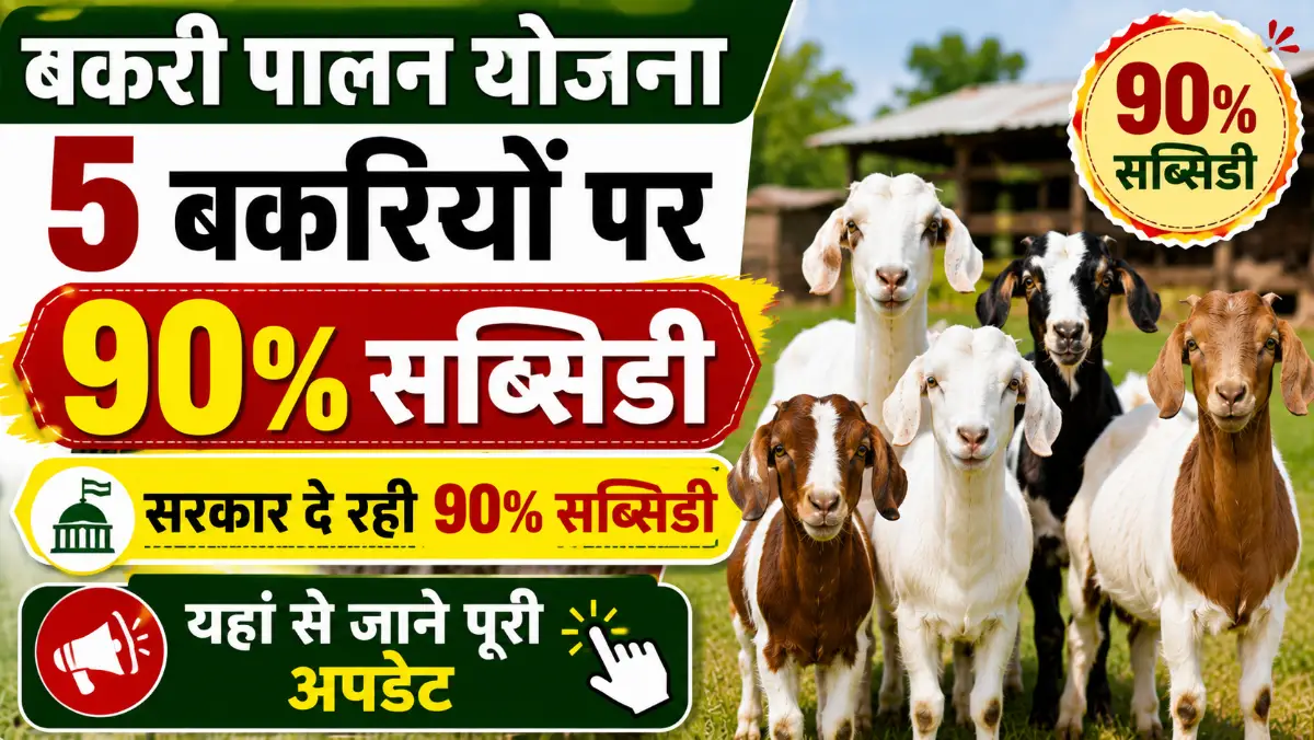 Goat Farming Scheme