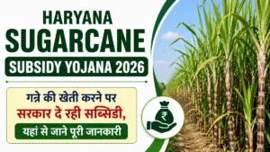 Haryana Sugarcane Subsidy Yojana 2026