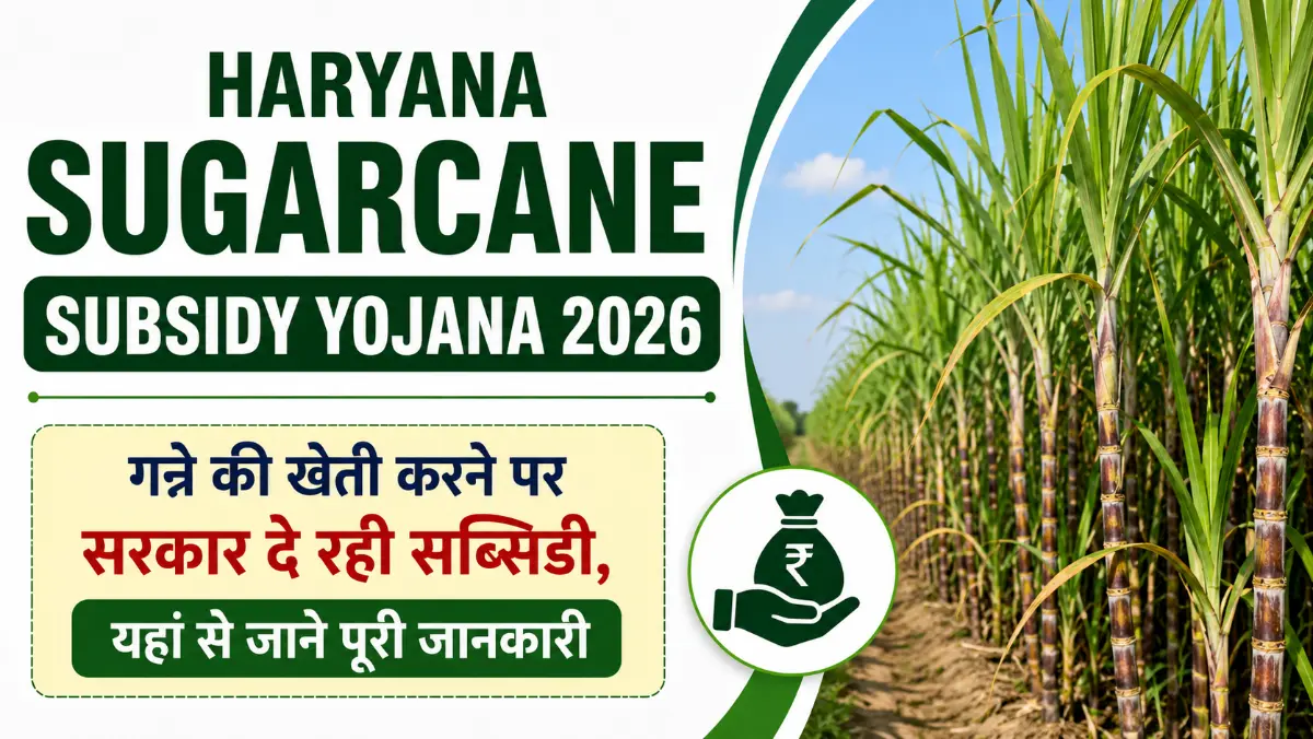 Haryana Sugarcane Subsidy Yojana 2026